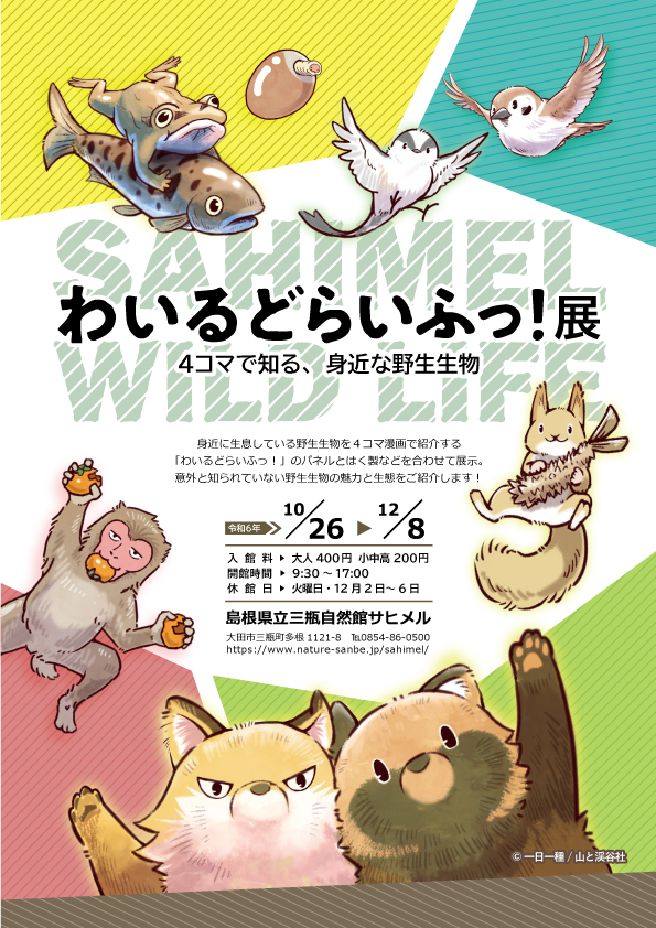 わいるどらいふっ！展～４コマで知る、身近な野生生物～