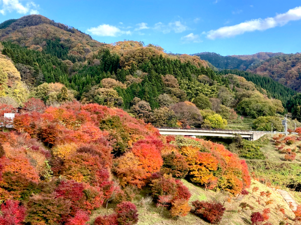 飯南町の紅葉